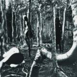 Bosse-de-Nage - Bosse-de-Nage